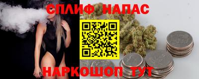 гидра Гагарин