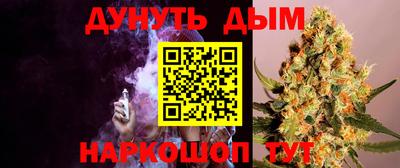 гидра Гагарин