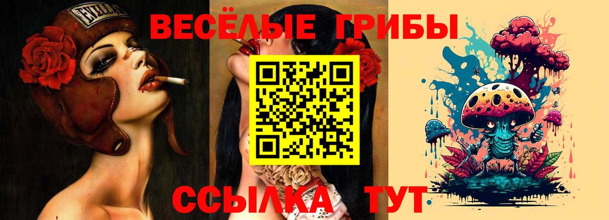 Дальнегорск  Псилоцибиновые грибы мицелий  Галлюциногенные грибы Psilocybine cubensis  Вход с VPN 